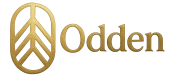 Odden | Güncel Site Adresi 
